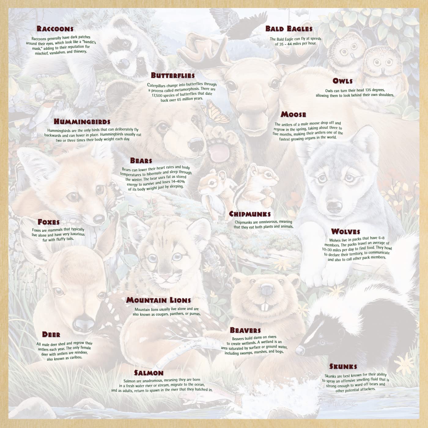Foto 4 | Rompecabezas Masterpieces Forest Friends 48 Piezas - Venta Internacional