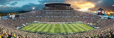 Foto 2 | Rompecabezas Masterpieces Ncaa Oregon Ducks Autzen 1000 Piezas - Venta Internacional.