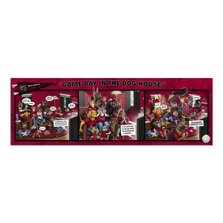Foto 3 | Puzzle Youthefan Gamecocks De La Ncaa De Carolina Del Sur, 1000 Unidades - Venta Internacional.