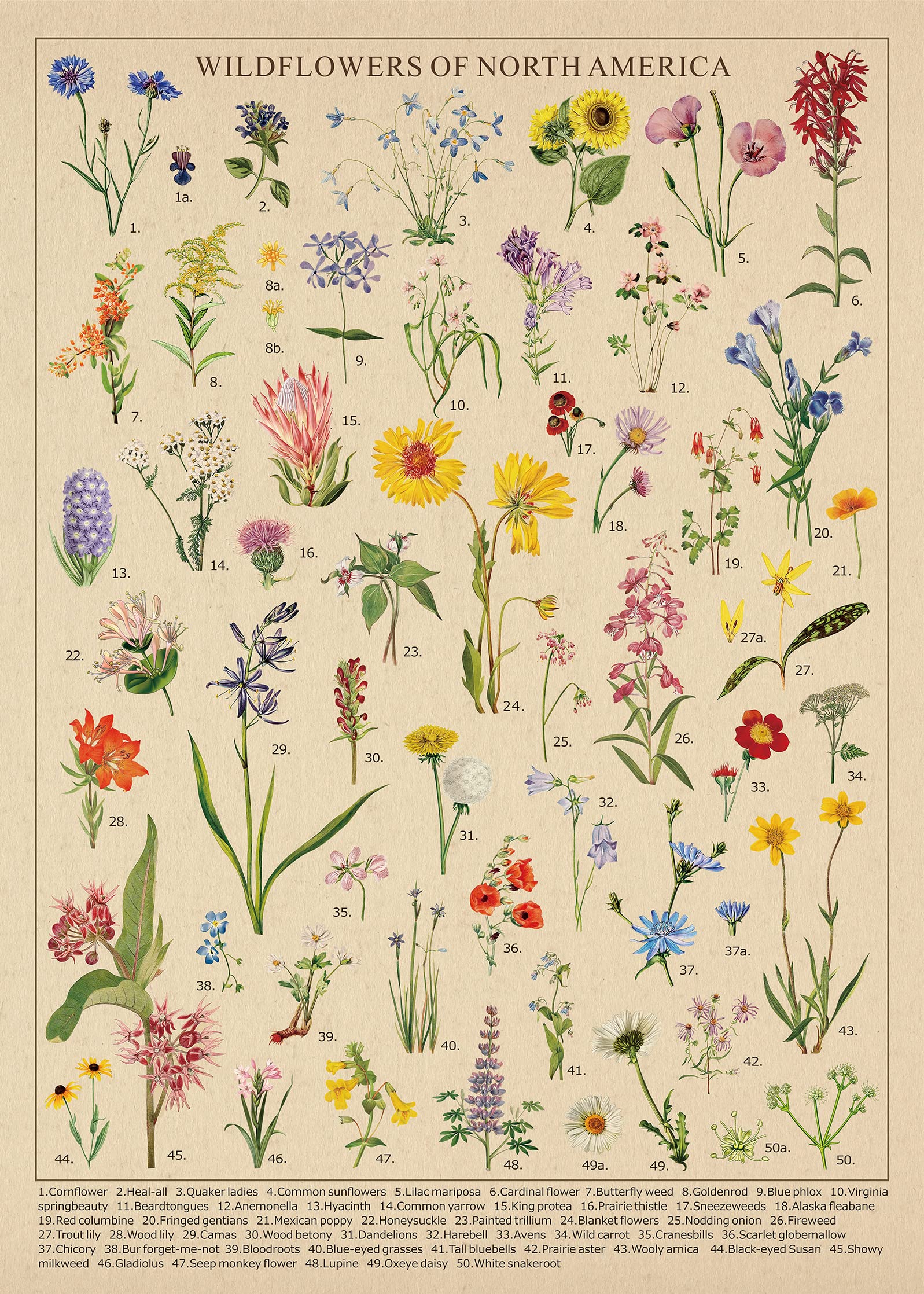 Foto 3 pulgar | Puzzle Bboldin Vintage Wildflowers 1000 Piezas Para Adulto - Venta Internacional.