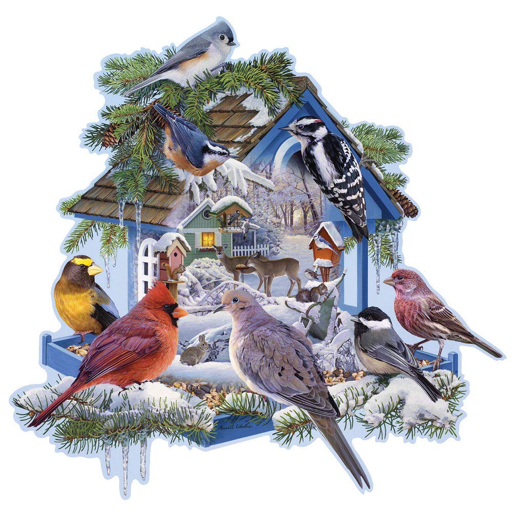 Comedero Para Pájaros De Invierno En Forma De Rompecabezas, 750 Unidades - Venta Internacional.