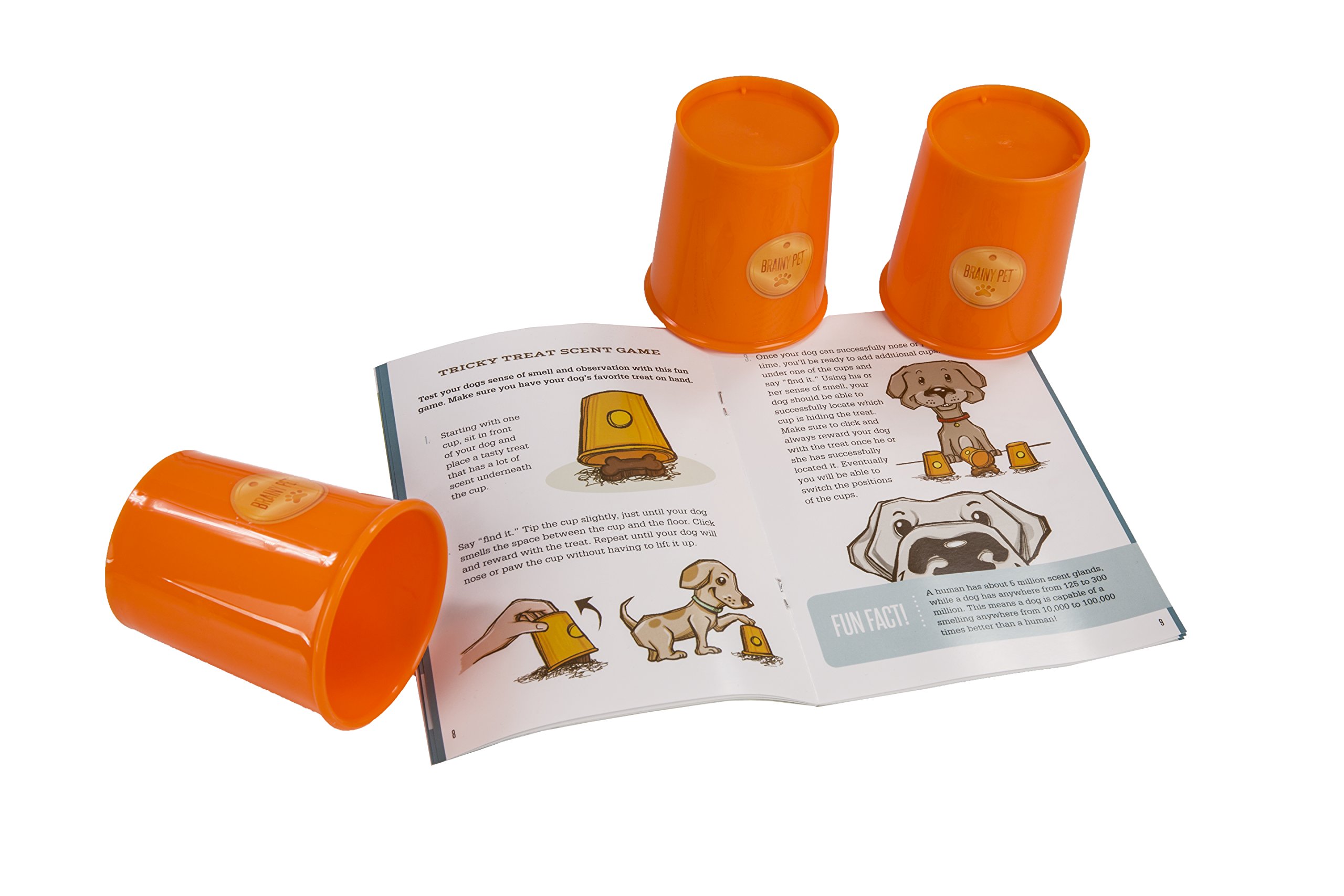 Foto 8 pulgar | Kit De Campamento Diurno Para Perros Mindware, Crea El Tuyo Con Una Guía De Entrenamiento - Venta Internacional.