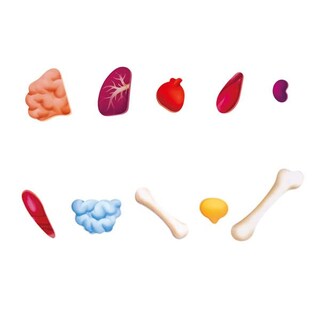Foto 3 | Puzzle Con Forma De Cuerpo Humano, 60 Piezas, Educativo Para Mayores De 4 Años - Venta Internacional.