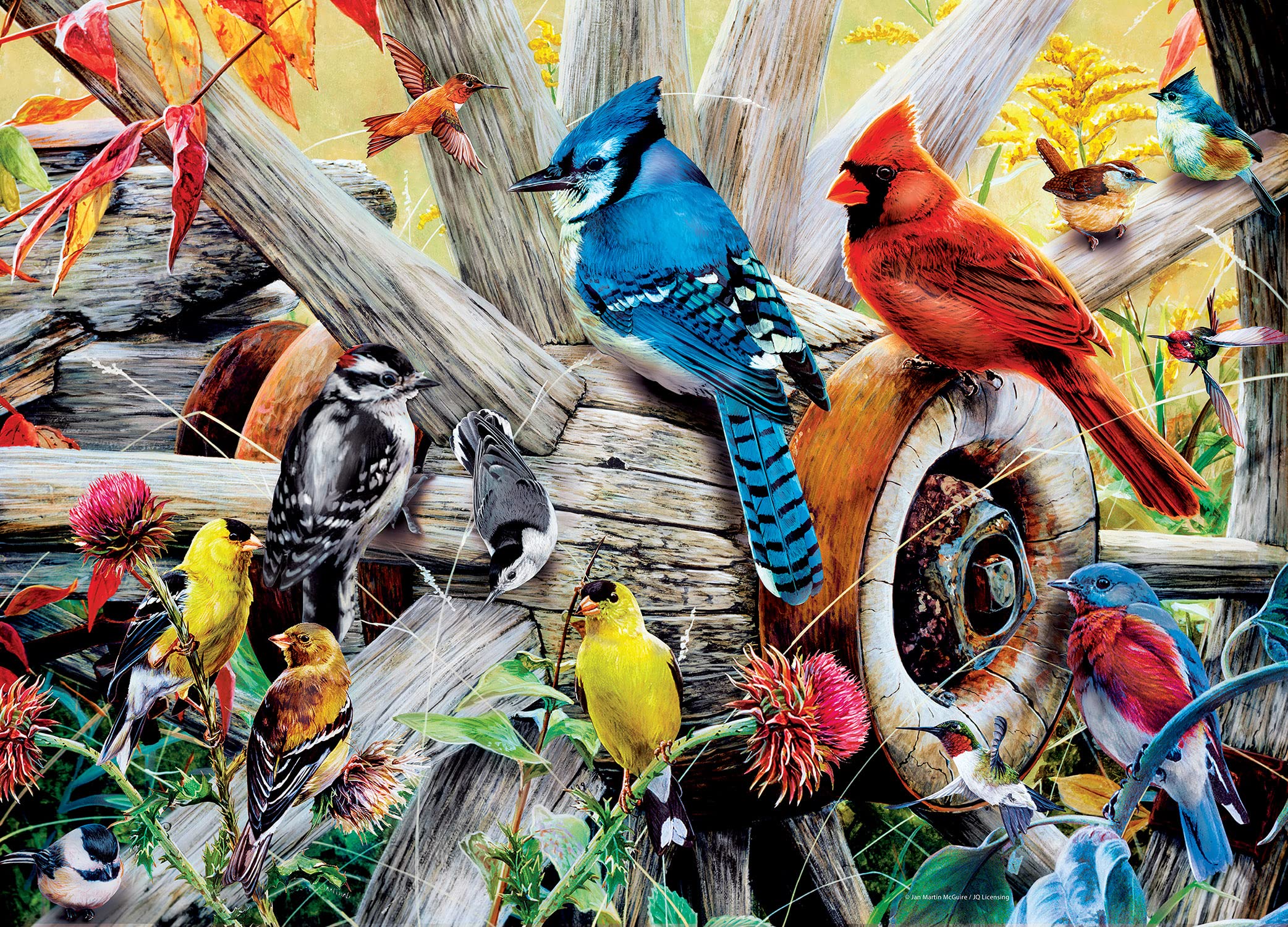 Foto 3 pulgar | Rompecabezas Masterpieces Backyard Birds 1000 Piezas - Venta Internacional.