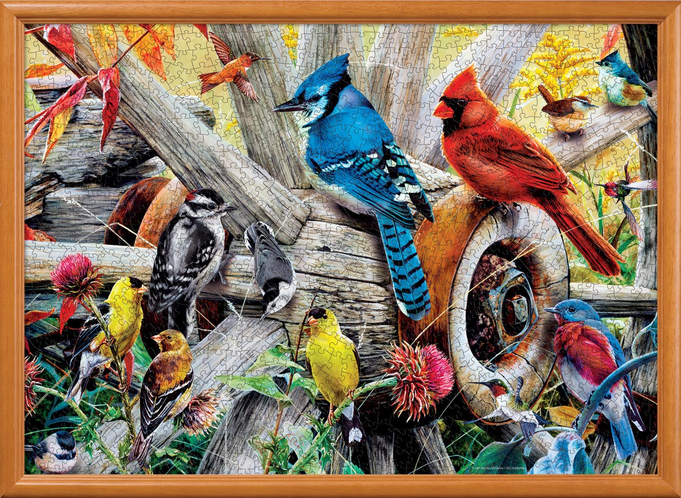 Foto 7 pulgar | Rompecabezas Masterpieces Backyard Birds 1000 Piezas - Venta Internacional.