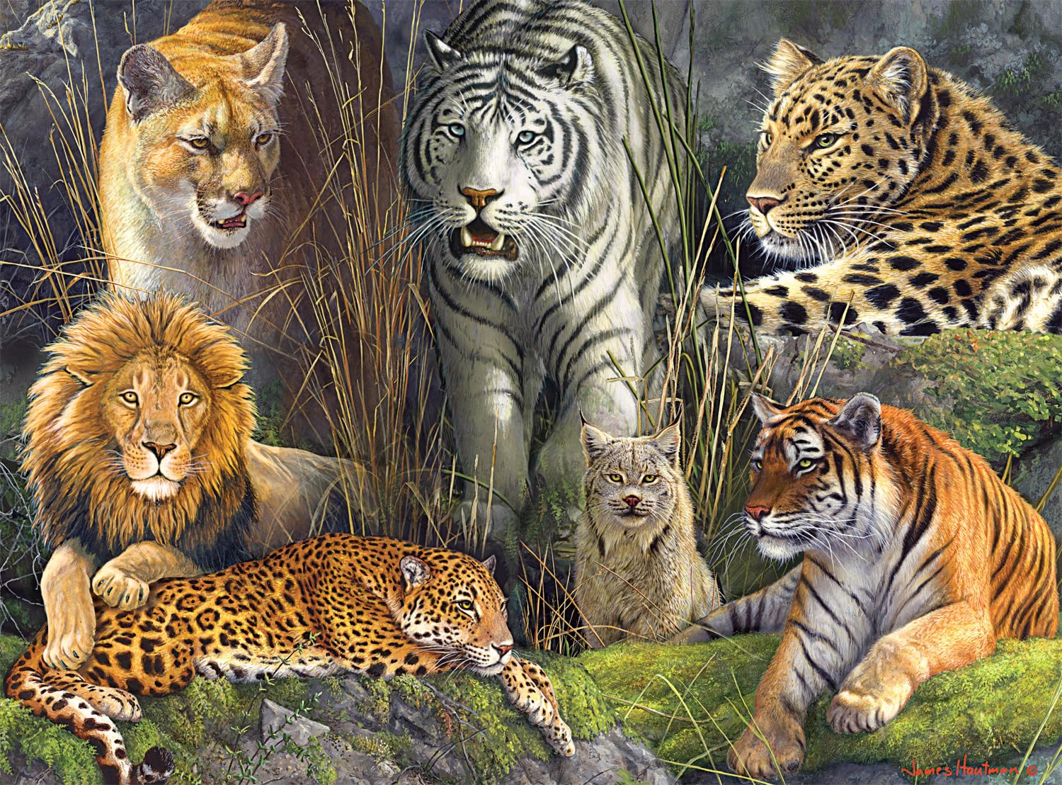 Foto 1 | Rompecabezas Buffalo Games James Hautman Big Cat 1000 Piezas - Venta Internacional.