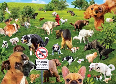 Foto 2 | Rompecabezas Masterpieces Super Dooper Poopers 1000 Piezas - Venta Internacional.