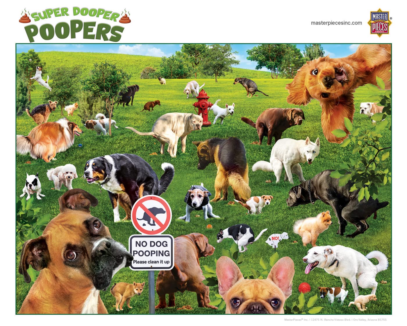 Foto 5 pulgar | Rompecabezas Masterpieces Super Dooper Poopers 1000 Piezas - Venta Internacional.