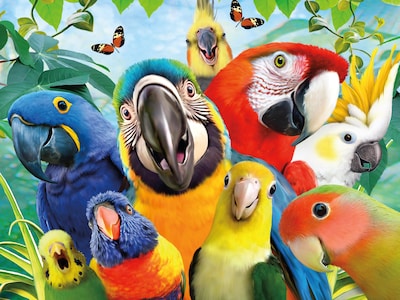 Foto 1 | Rompecabezas Ceaco Selfies Perfect Parrot 500 Piezas - Venta Internacional.