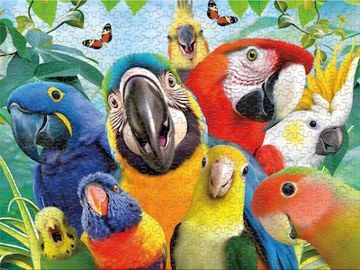 Foto 5 | Rompecabezas Ceaco Selfies Perfect Parrot 500 Piezas - Venta Internacional.