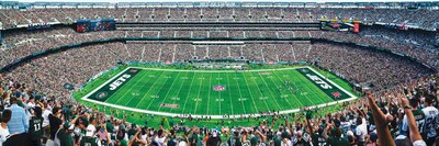 Foto 2 | Rompecabezas Masterpieces Nfl New York Jets 1000 Piezas - Venta Internacional.