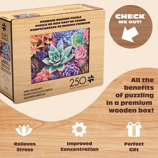Foto 4 | Rompecabezas Buffalo Games Succulent, 250 Piezas, Más De 14 Años - Venta Internacional.