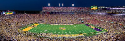 Foto 2 | Rompecabezas Masterpieces Ncaa Lsu Tigers 1000 Piezas - Venta Internacional.