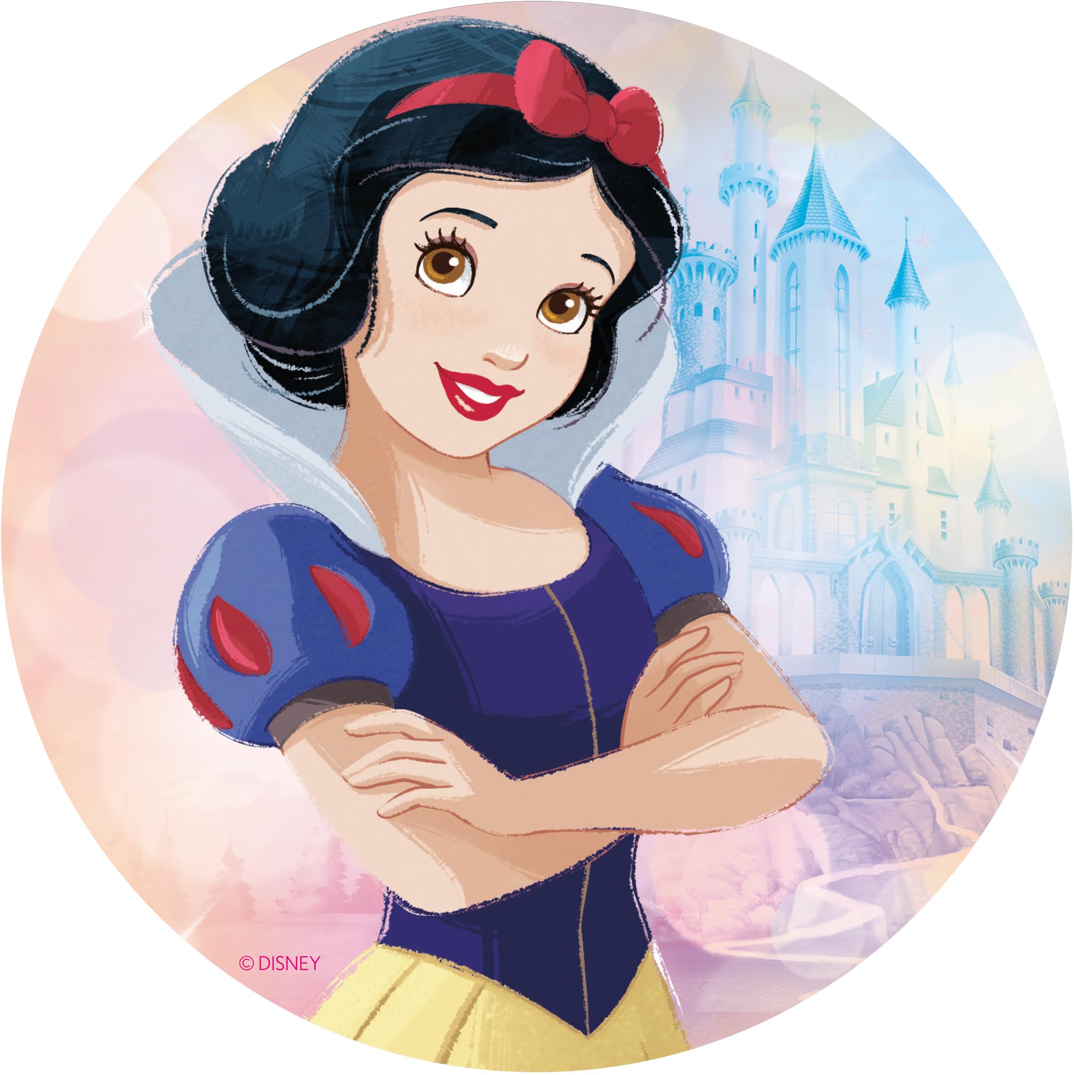 Foto 8 pulgar | Rompecabezas Ceaco Disney Princess 300/500/750 Piezas - Venta Internacional.