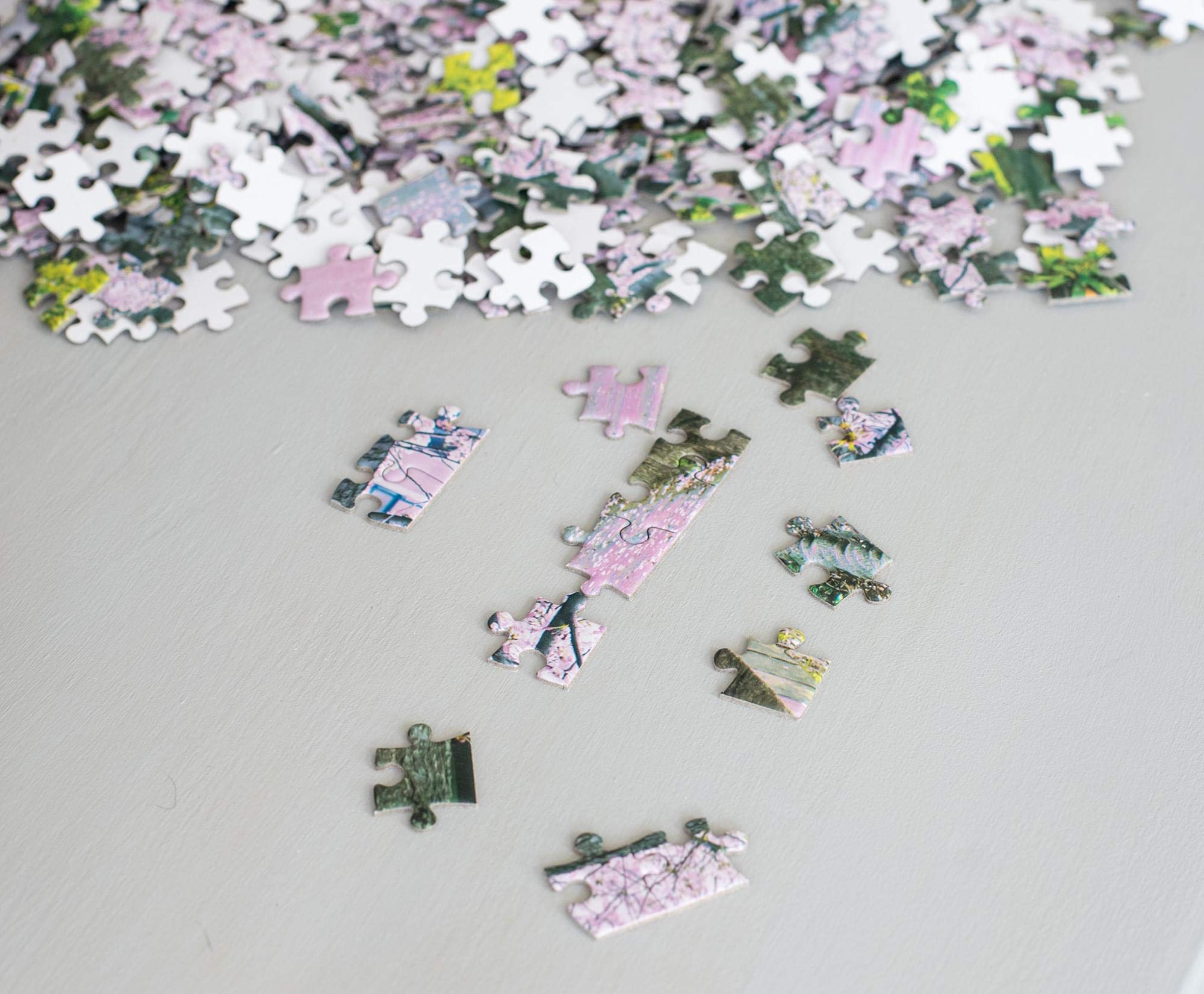 Foto 6 pulgar | Rompecabezas Toynk Cherry Blossom Bliss Tokio 1000 Piezas - Venta Internacional.