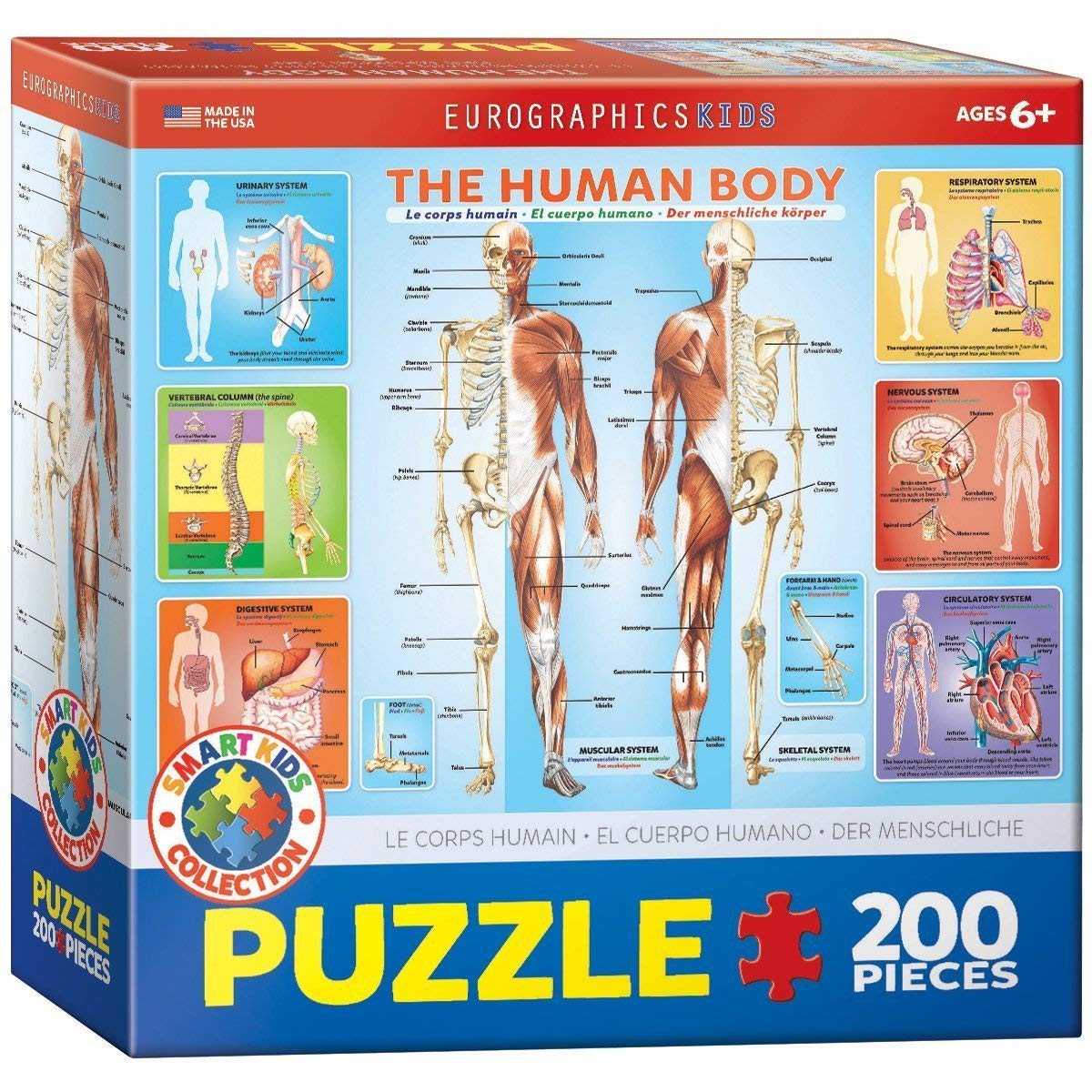 Foto 2 pulgar | Rompecabezas Eurographics Human Body 200 Piezas Para Niños - Venta Internacional.