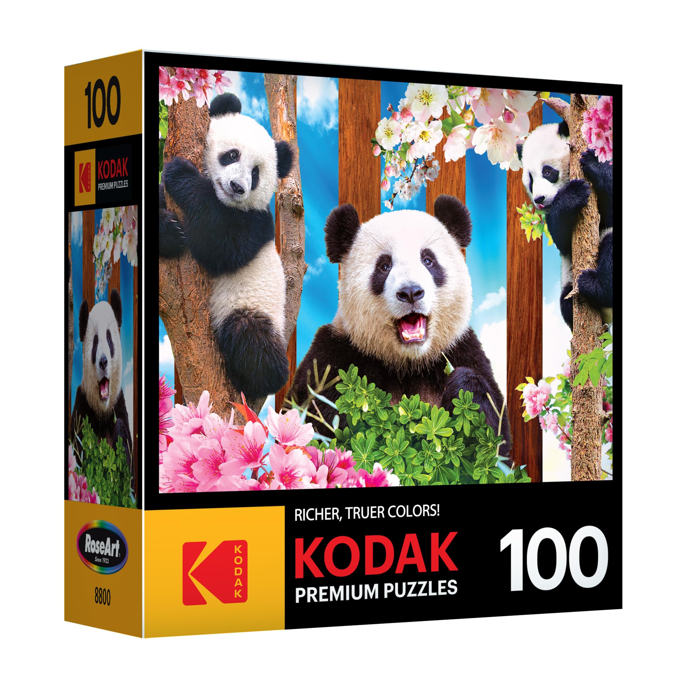 Foto 3 pulgar | Rompecabezas Roseart Kodak Premium Panda Playtime 100 Piezas - Venta Internacional.