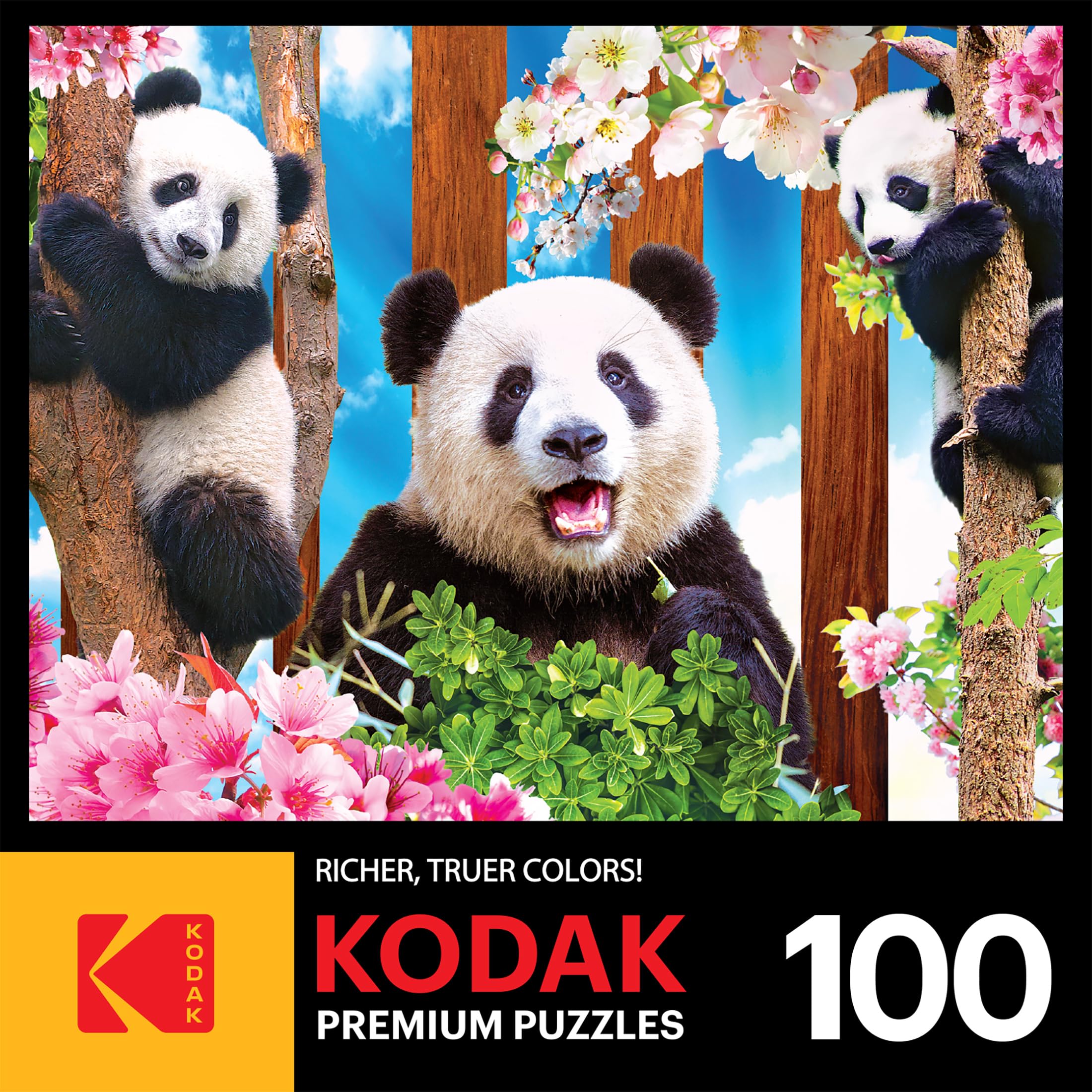 Foto 5 pulgar | Rompecabezas Roseart Kodak Premium Panda Playtime 100 Piezas - Venta Internacional.