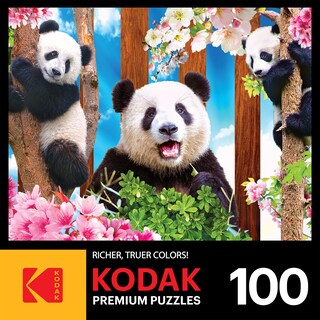 Foto 4 | Rompecabezas Roseart Kodak Premium Panda Playtime 100 Piezas - Venta Internacional.