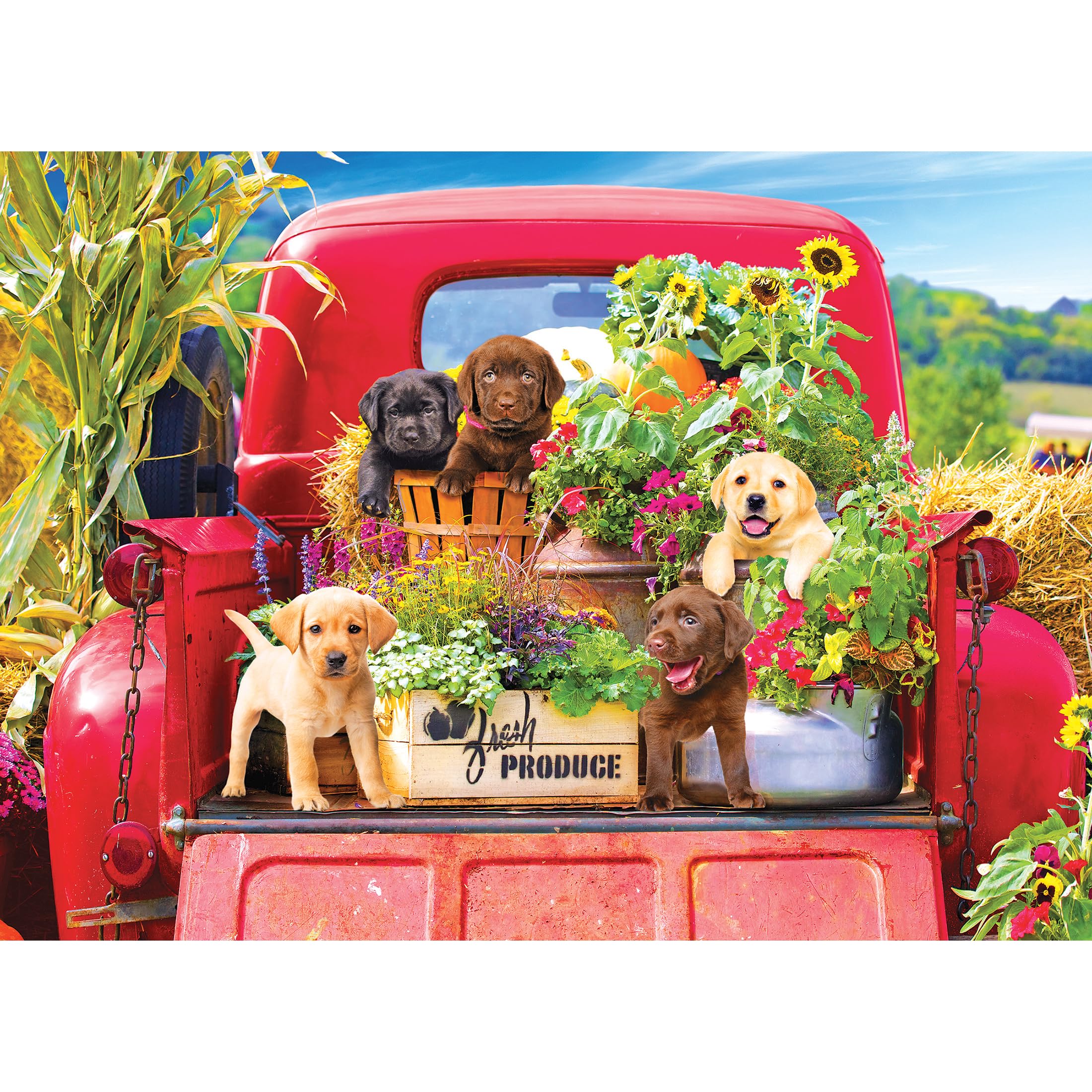 Foto 1 | Rompecabezas Roseart Kodak Premium Stowaways 1000 Piezas - Venta Internacional.