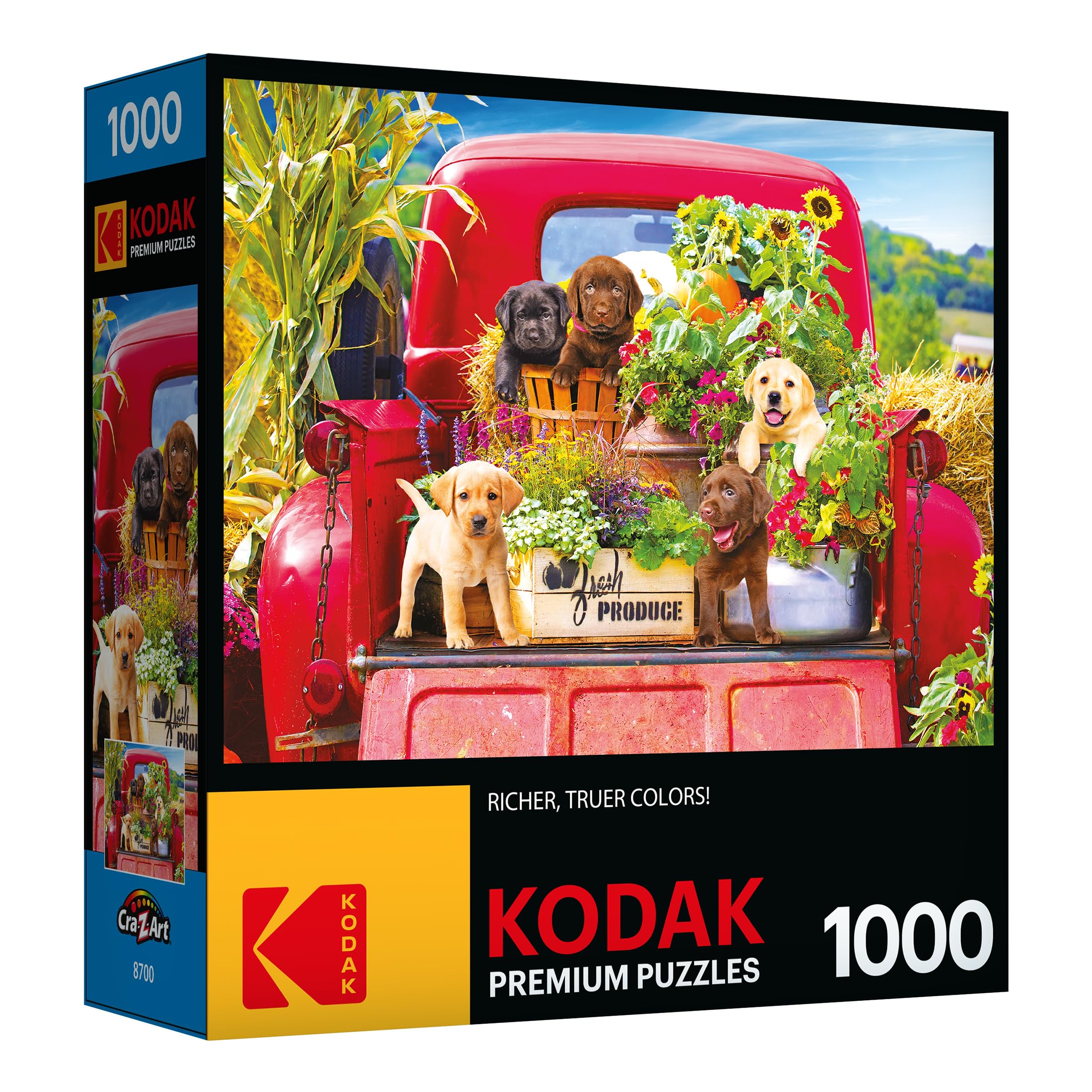 Foto 3 pulgar | Rompecabezas Roseart Kodak Premium Stowaways 1000 Piezas - Venta Internacional.