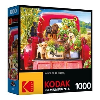 Foto 2 | Rompecabezas Roseart Kodak Premium Stowaways 1000 Piezas - Venta Internacional.