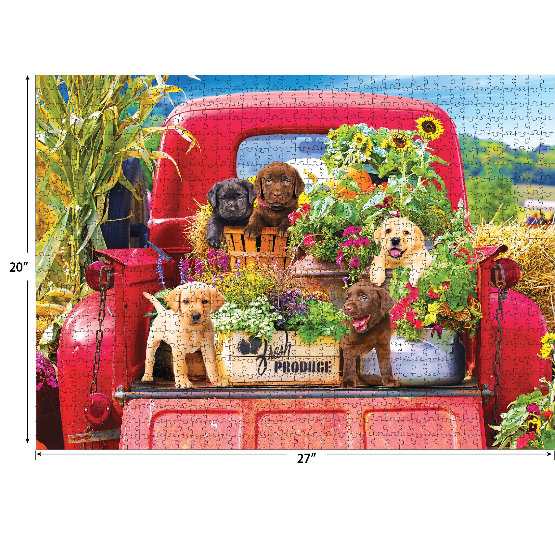 Foto 3 | Rompecabezas Roseart Kodak Premium Stowaways 1000 Piezas - Venta Internacional.