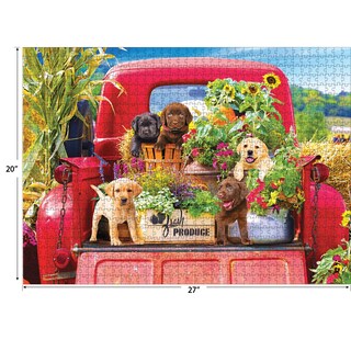 Foto 3 | Rompecabezas Roseart Kodak Premium Stowaways 1000 Piezas - Venta Internacional.