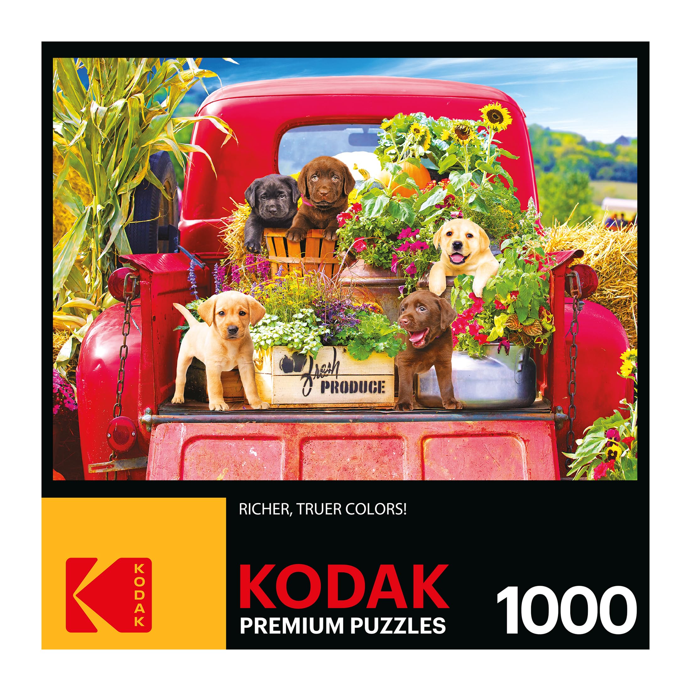 Foto 4 | Rompecabezas Roseart Kodak Premium Stowaways 1000 Piezas - Venta Internacional.