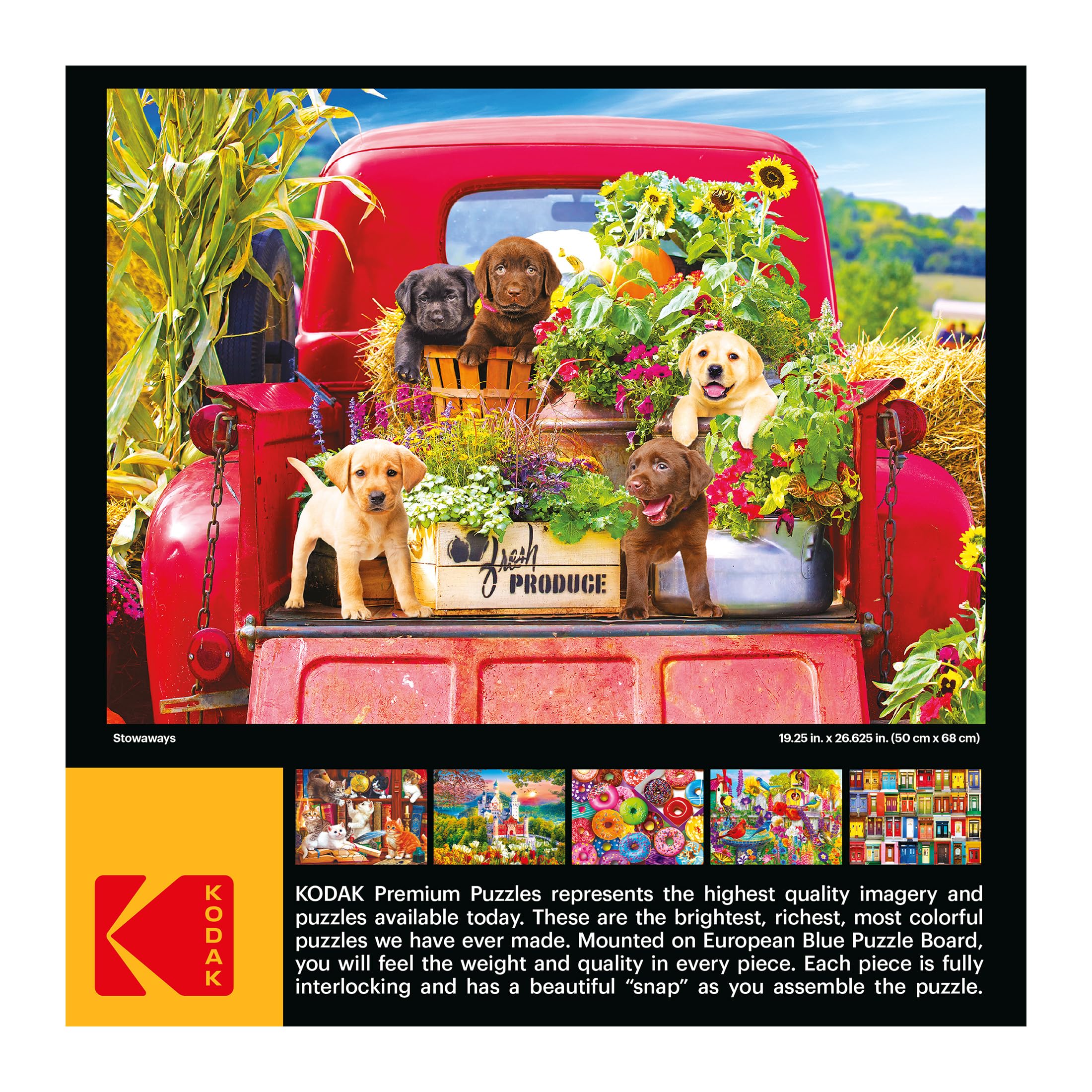 Foto 6 pulgar | Rompecabezas Roseart Kodak Premium Stowaways 1000 Piezas - Venta Internacional.