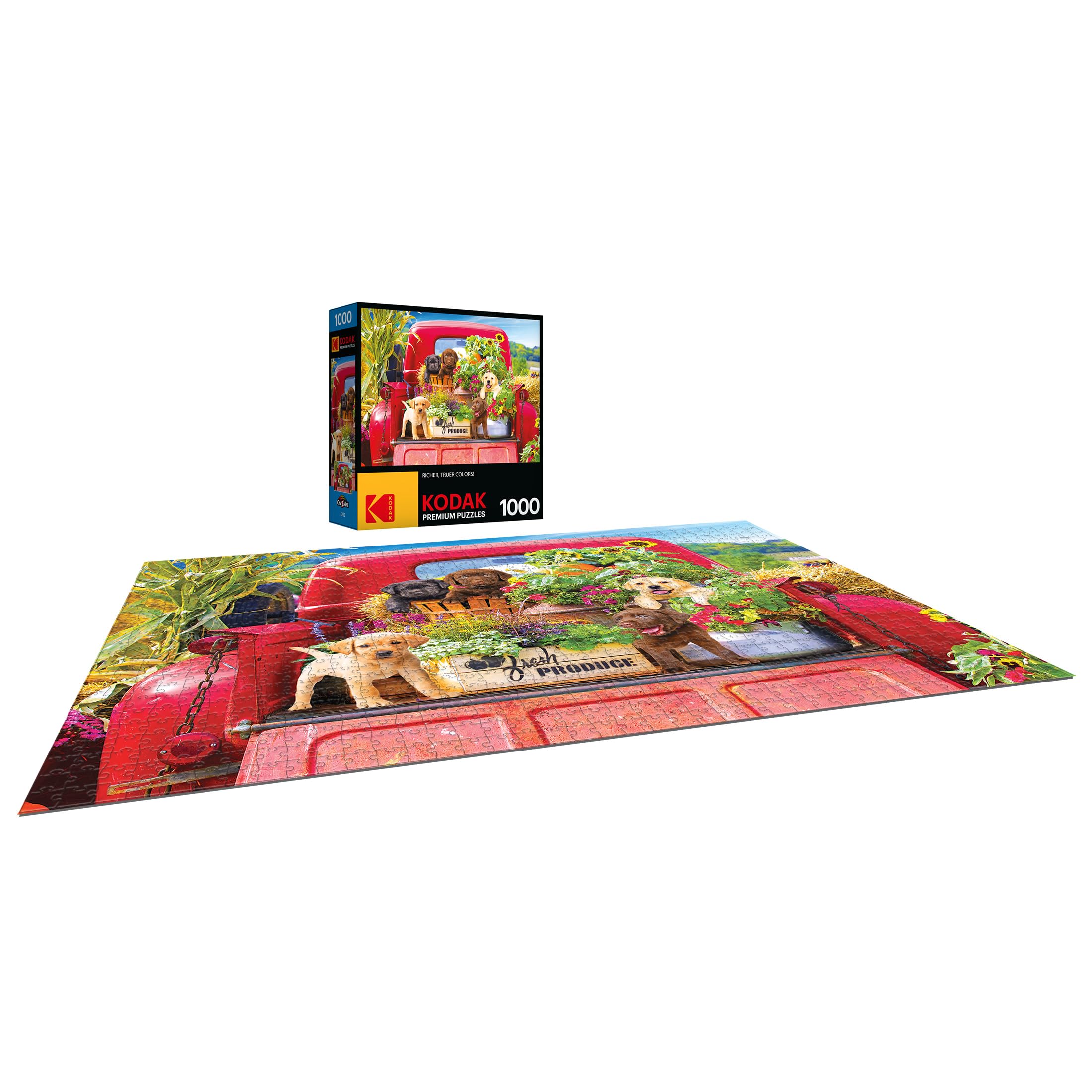 Foto 6 | Rompecabezas Roseart Kodak Premium Stowaways 1000 Piezas - Venta Internacional.