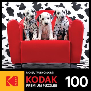 Foto 4 | Rompecabezas Roseart Kodak Premium Lots Of Spots, 100 Piezas - Venta Internacional.