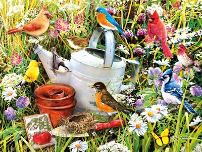 Foto 1 | Rompecabezas Ceaco Garden Birds 500 Piezas - Venta Internacional.