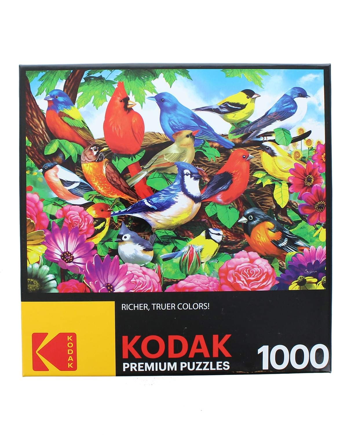 Foto 1 | Rompecabezas Roseart Kodak Premium Friendly Birds, 1000 Unidades - Venta Internacional.