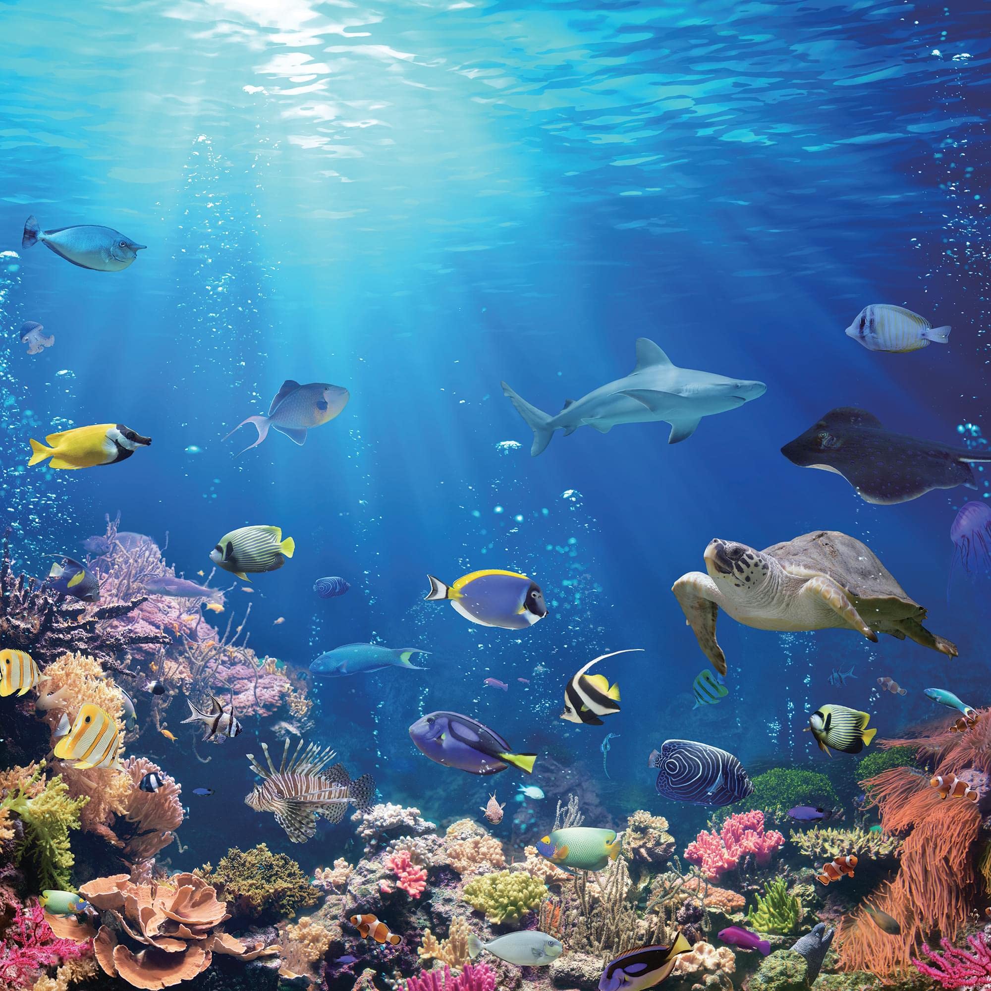 Foto 1 | Rompecabezas Toynk Under The Sea Coral Reef  500 Piezas - Venta Internacional.