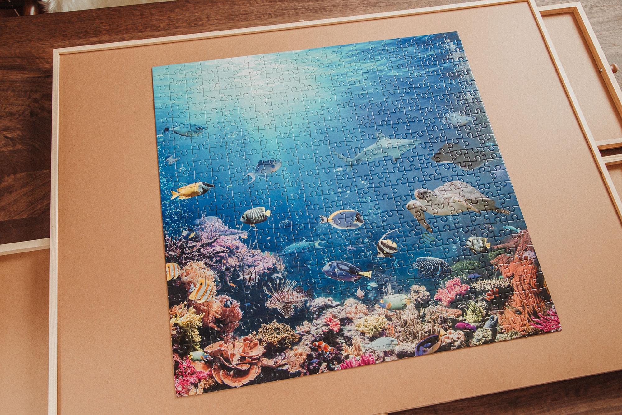 Foto 7 pulgar | Rompecabezas Toynk Under The Sea Coral Reef  500 Piezas - Venta Internacional.