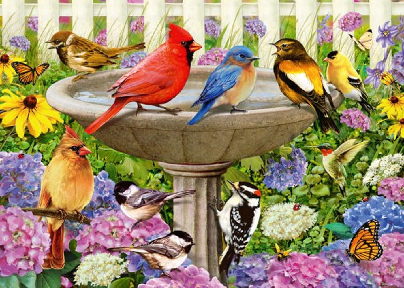 Foto 3 pulgar | Rompecabezas Ravensburger Garden Birds 1000 Piezas - Venta Internacional
