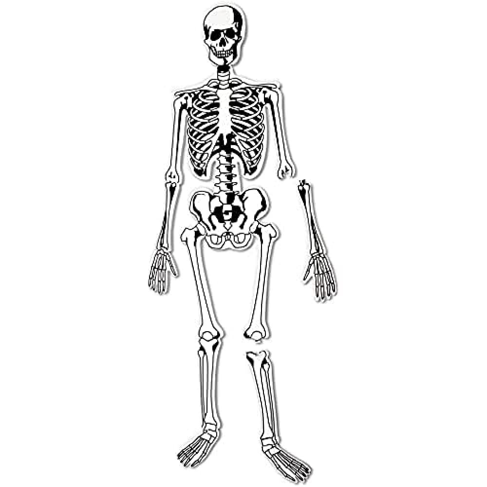 Foto 2 pulgar | Puzzle Learning Resources Skeleton Floor, 15 Piezas, 4 Pies - Venta Internacional.