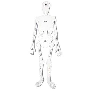 Foto 2 | Puzzle Learning Resources Skeleton Floor, 15 Piezas, 4 Pies - Venta Internacional.
