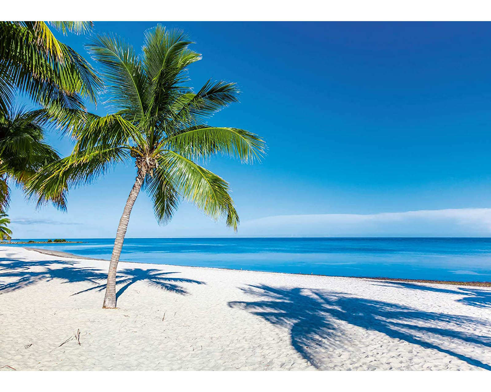 Foto 2 | Rompecabezas Ravensburger Paisaje de Playa Nuevo con 1000 Piezas