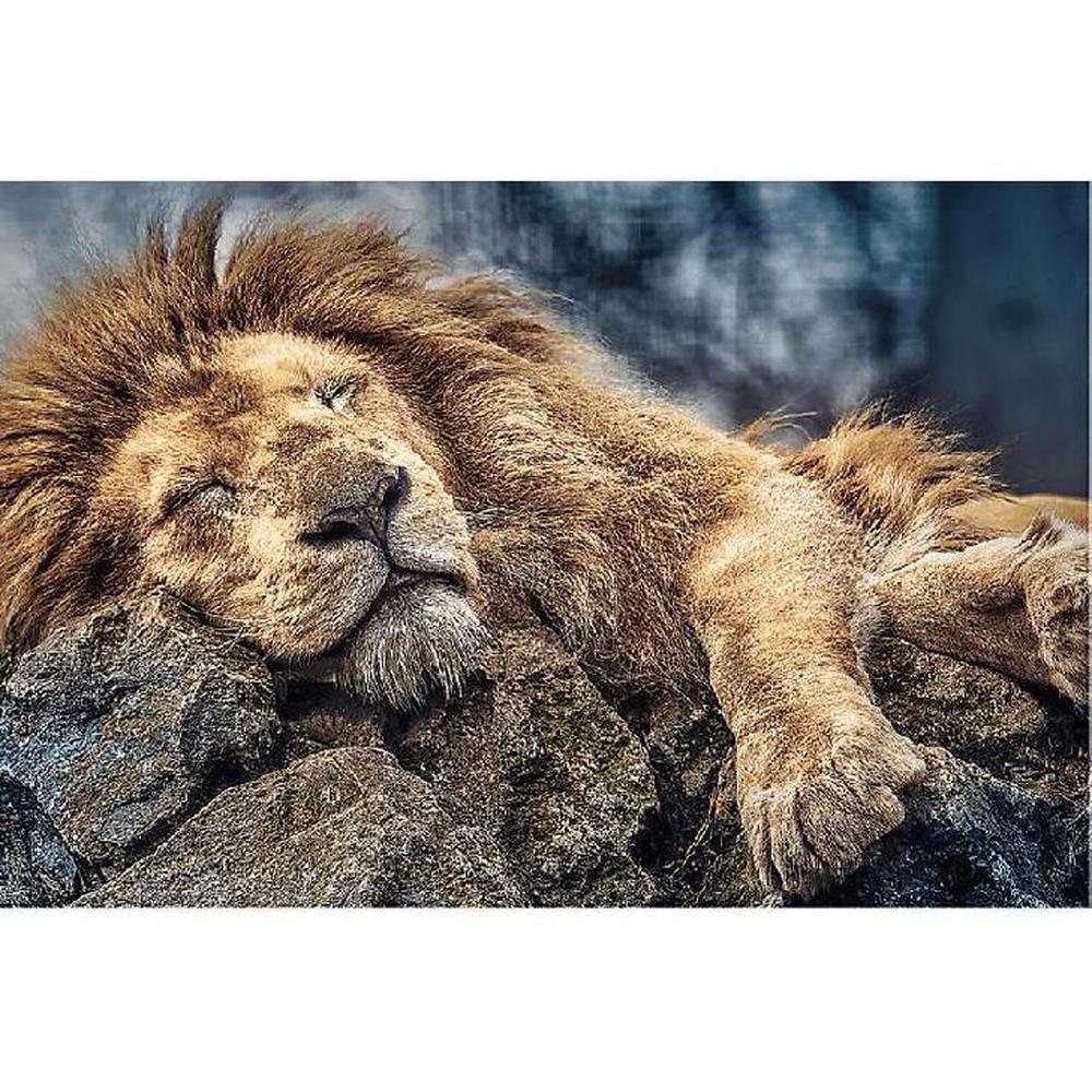 Foto 3 pulgar | Rompecabezas 1000 Piezas Trefl: León Durmiendo