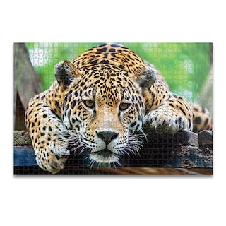 Foto 2 | Rompecabezas Kelvin Jaguar 1000 Piezas