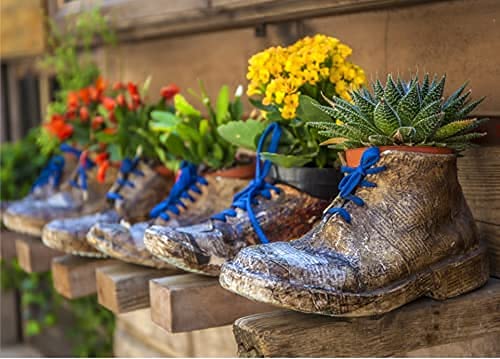Foto 3 pulgar | Puzle Puzelworx Macetas de Zapatos 1000 Piezas - Venta Internacional