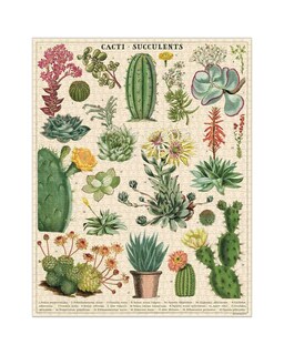 Foto 2 | Rompecabezas Cavallini Cactus Y Suculentas 1000 Piezas