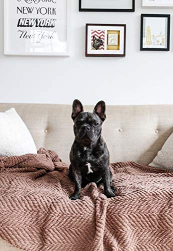 Foto 5 | Marco De Pared Para Mascotas Con Estampado De Patas De Perro O Gato Con Forma De Cabeza De Pera, Rec - Venta Internac