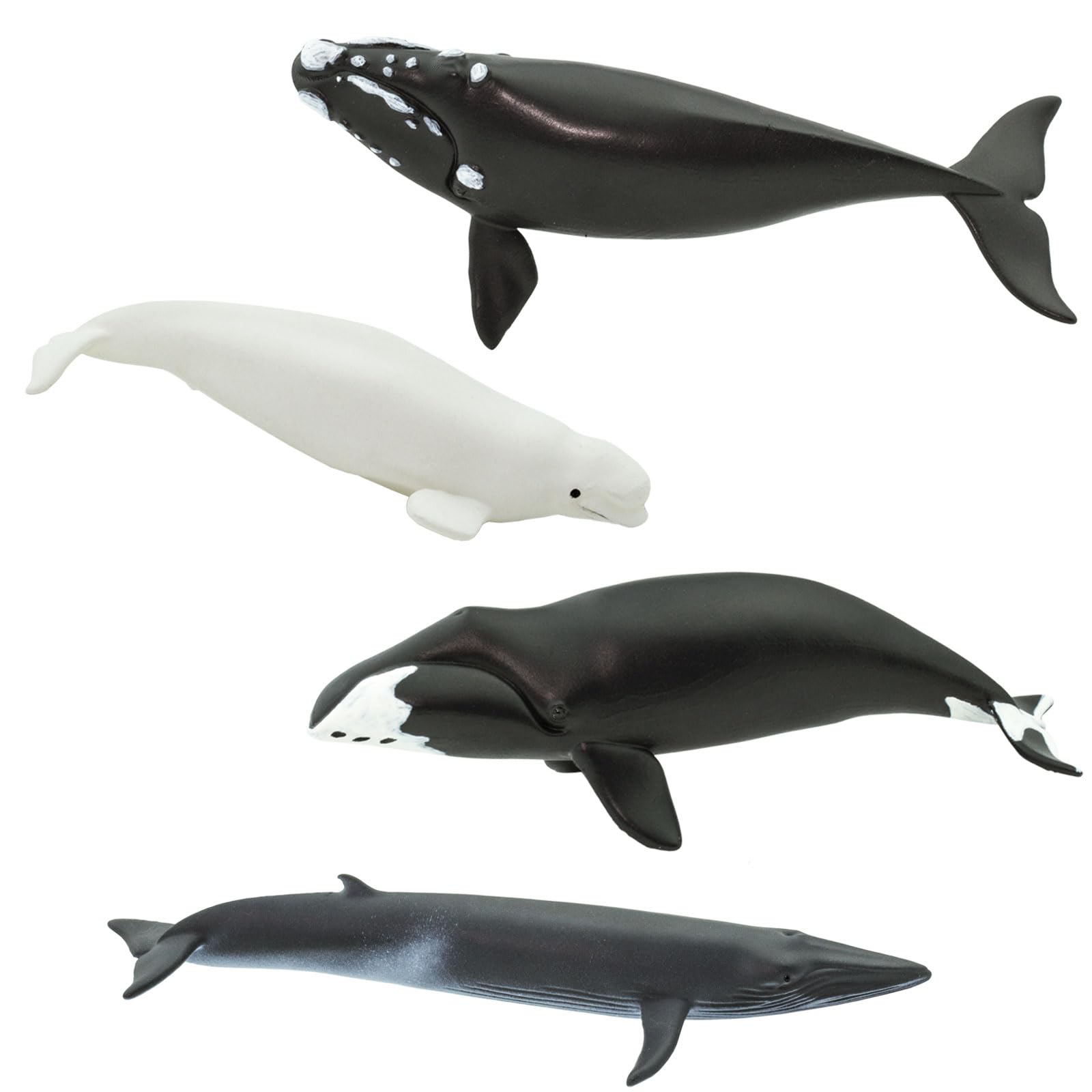 Foto 4 pulgar | Set De Figuras Safari Ltd. Whale Toob Con 10 Figuras De 6 A 10 Cm, 3 O Más - Venta Internacional.