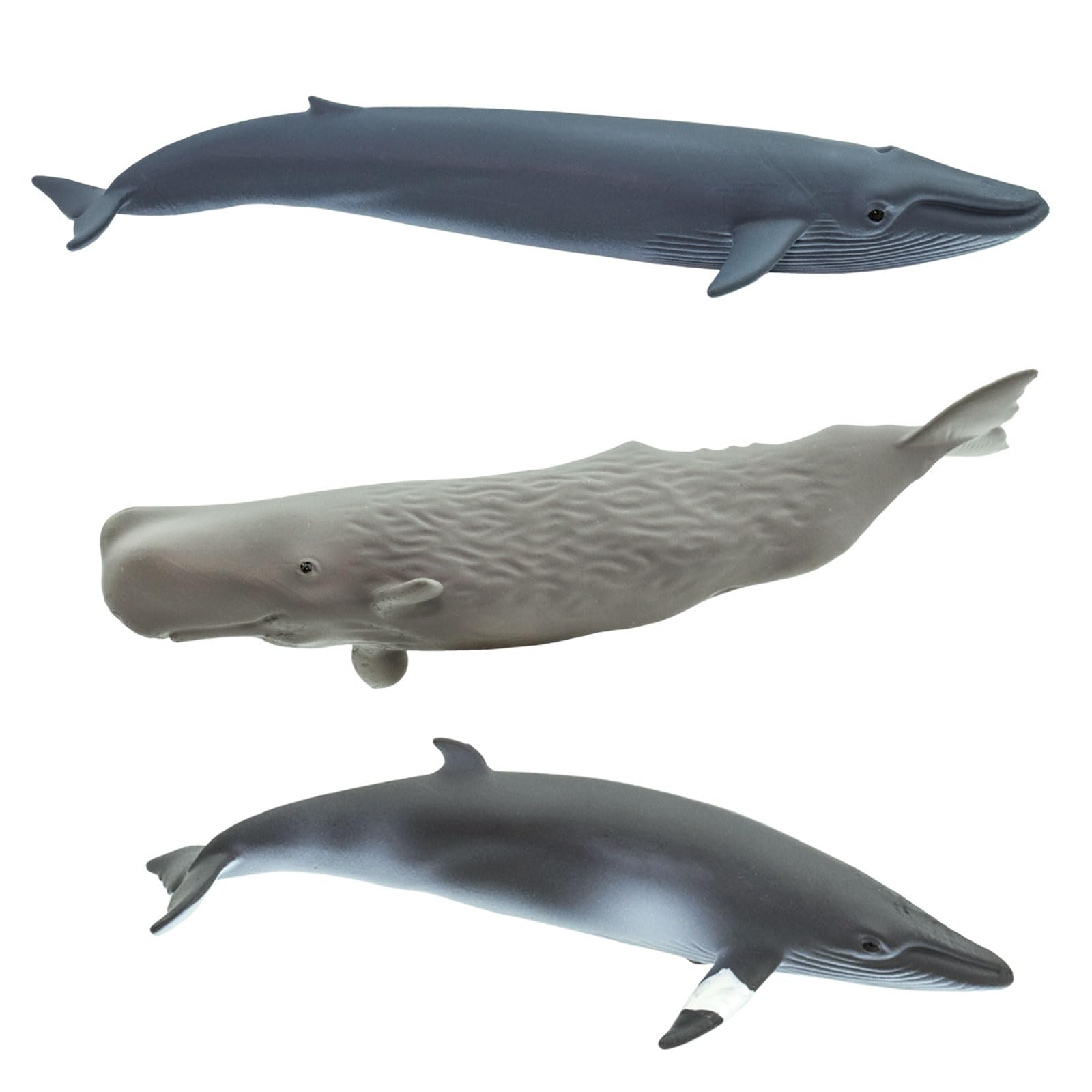 Foto 6 pulgar | Set De Figuras Safari Ltd. Whale Toob Con 10 Figuras De 6 A 10 Cm, 3 O Más - Venta Internacional.