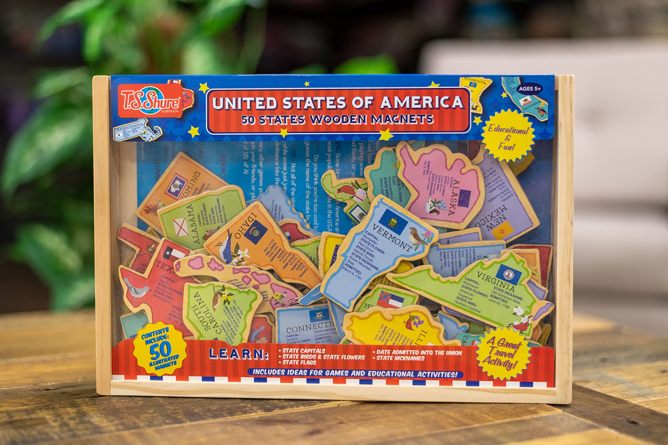 Foto 4 pulgar | Imanes Educativos De Madera Para El Aprendizaje | Bendon Ts Shure Usa - Venta Internacional.