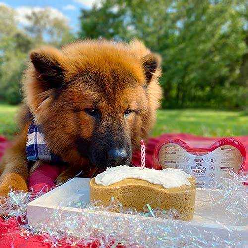 Foto 4 pulgar | Kit de Tartas de Cumpleaños para Perros - Venta Internacional
