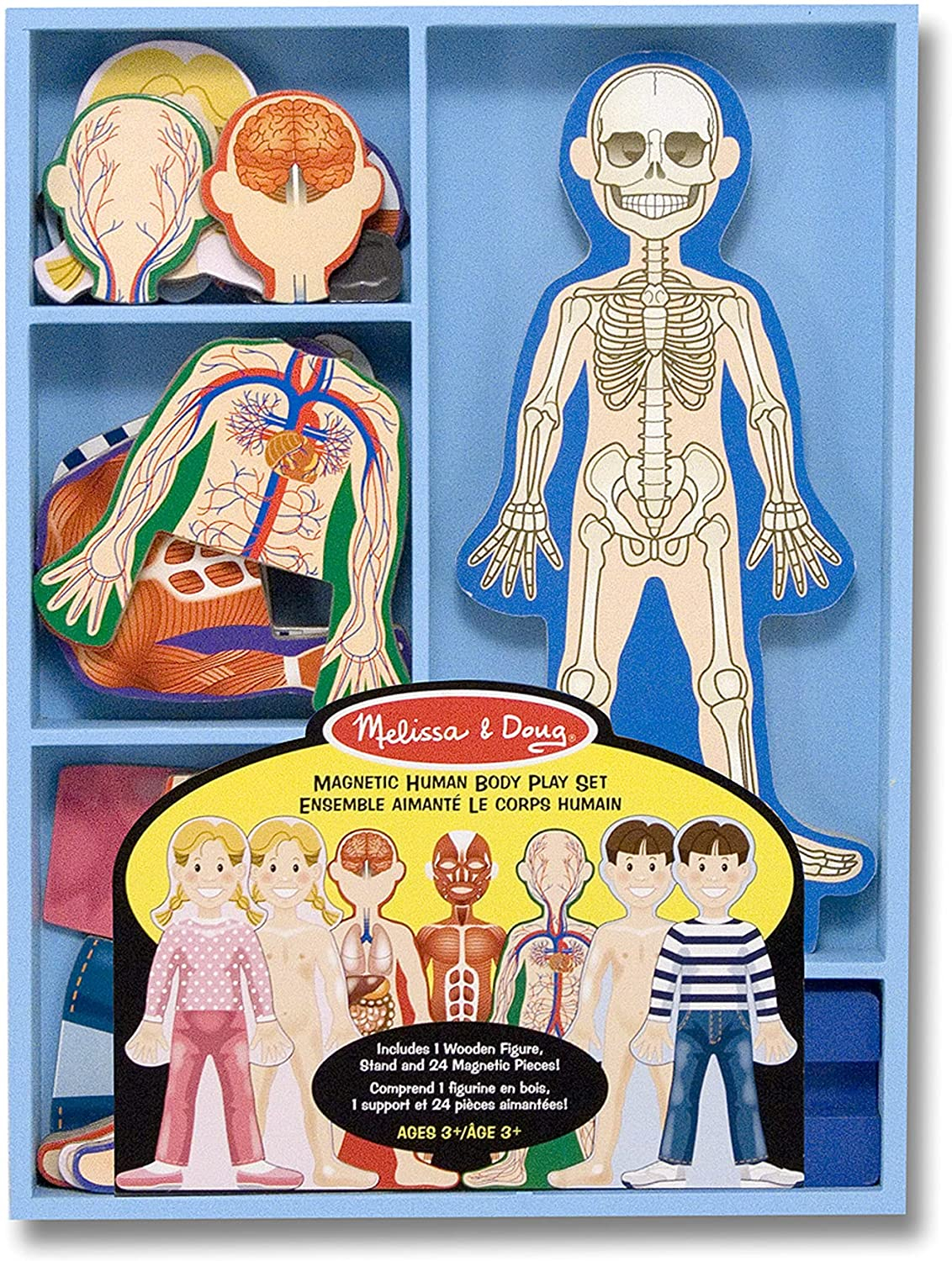 Foto 2 pulgar | Venta Internacional-  Melissa & Doug Magnetic Human Body Play Set